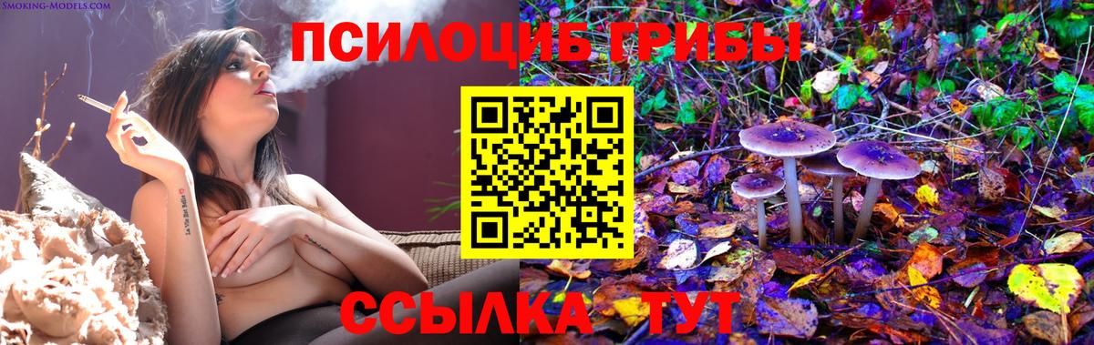Псилоцибиновые грибы ЛСД Нерюнгри