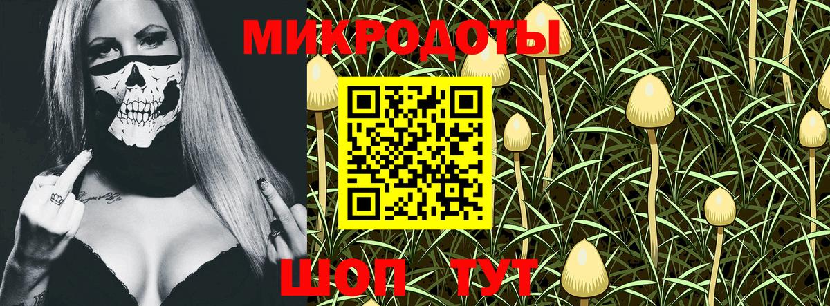Галлюциногенные грибы MAGIC MUSHROOMS  Галлюциногенные грибы Psilocybine cubensis  цена   Вход с VPN  Нерюнгри 